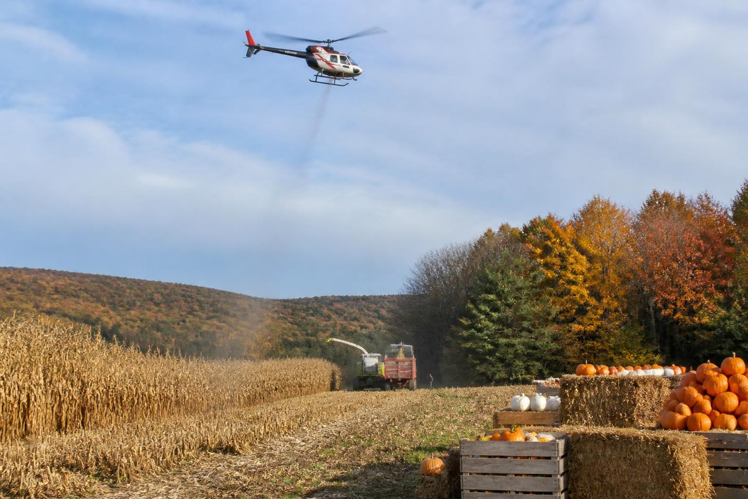 New York Dairy Sector Receives Modernization Boost Amidst Fall Operational Adjustments - AgroPost