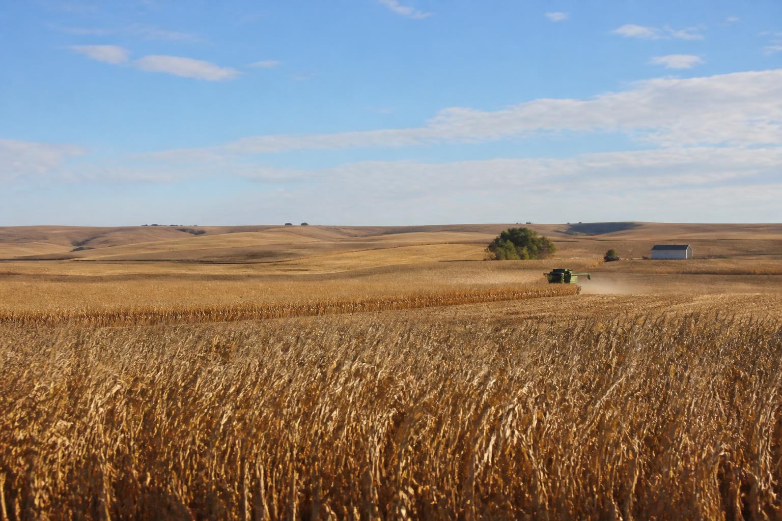 North Dakota Growers Pivot as Market Volatility and Infrastructure Updates Shape Fall Harvest - AgroPost