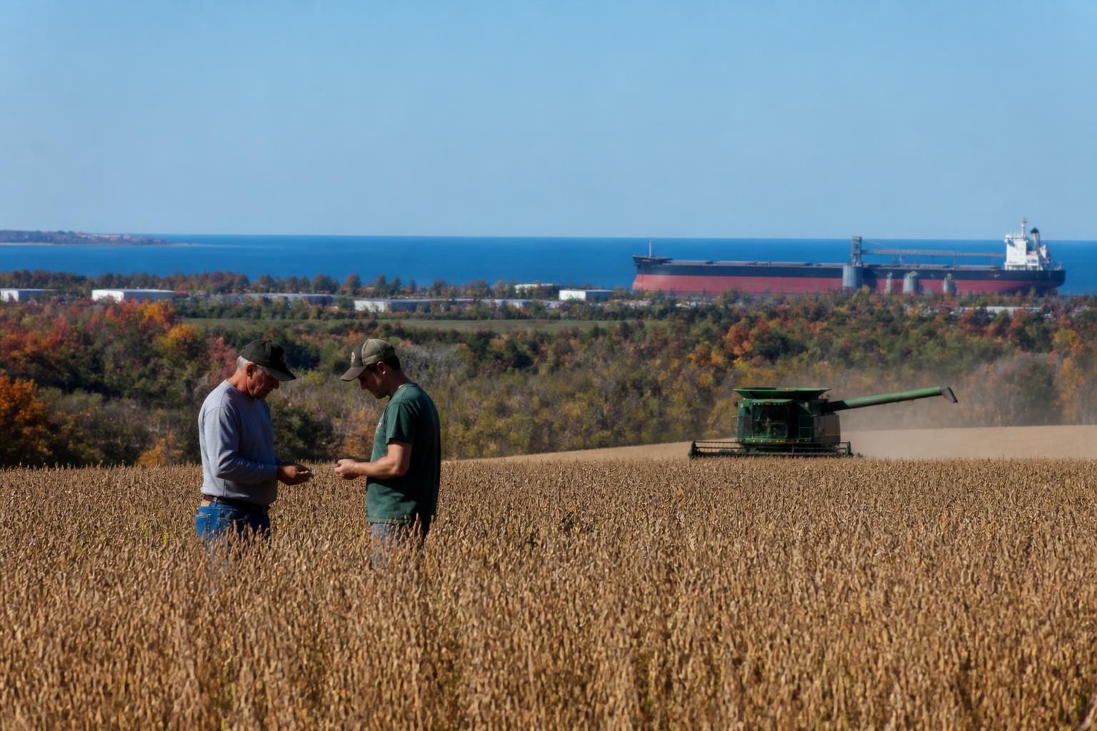 Actualización de Logística en Minnesota: Navegando el Tránsito Estacional y Cambios de Mercado - AgroPost