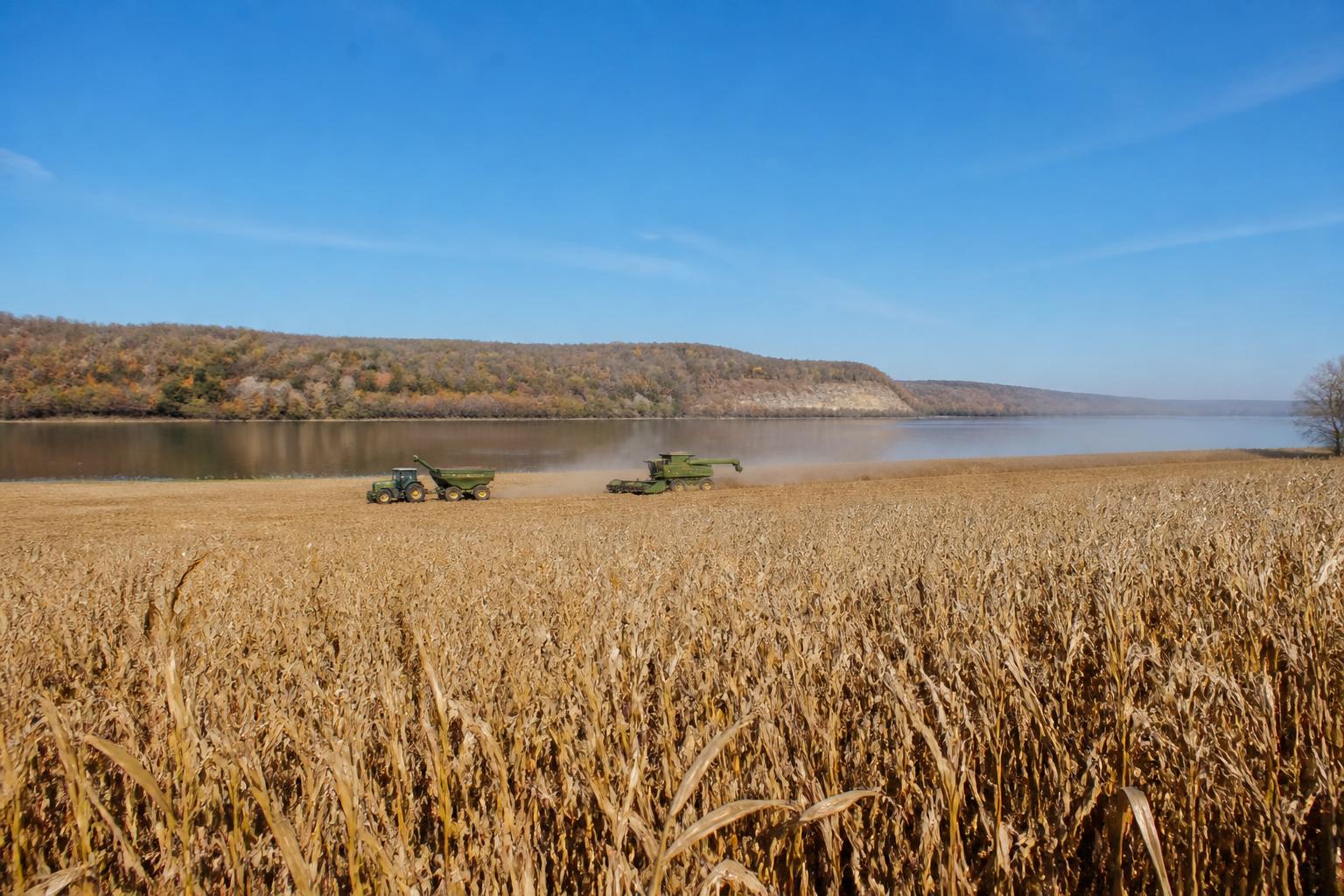Low River Flows Challenge Mississippi Harvest Logistics - AgroPost