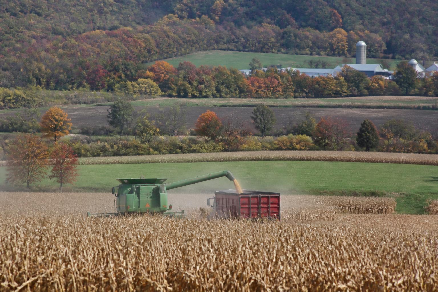 Protección de Tierras Agrícolas en Rhode Island: Asegurando la Continuidad Agrícola - AgroPost