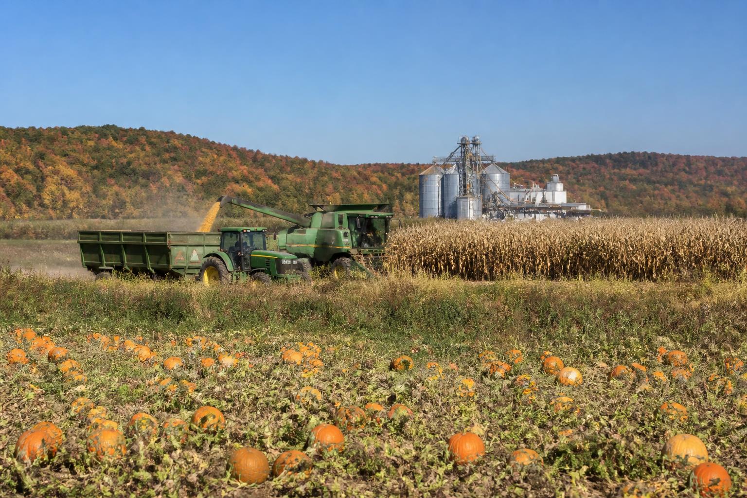 New York Agricultural Logistics: Strengthening Regional Supply Chains - AgroPost