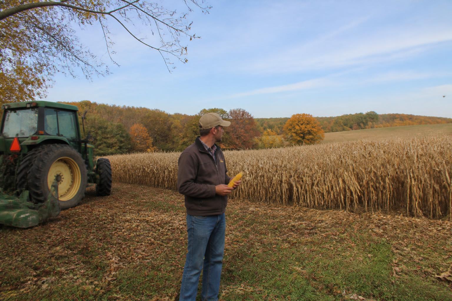 Market Pressures and Operational Resilience for Virginia Cattle Producers - AgroPost