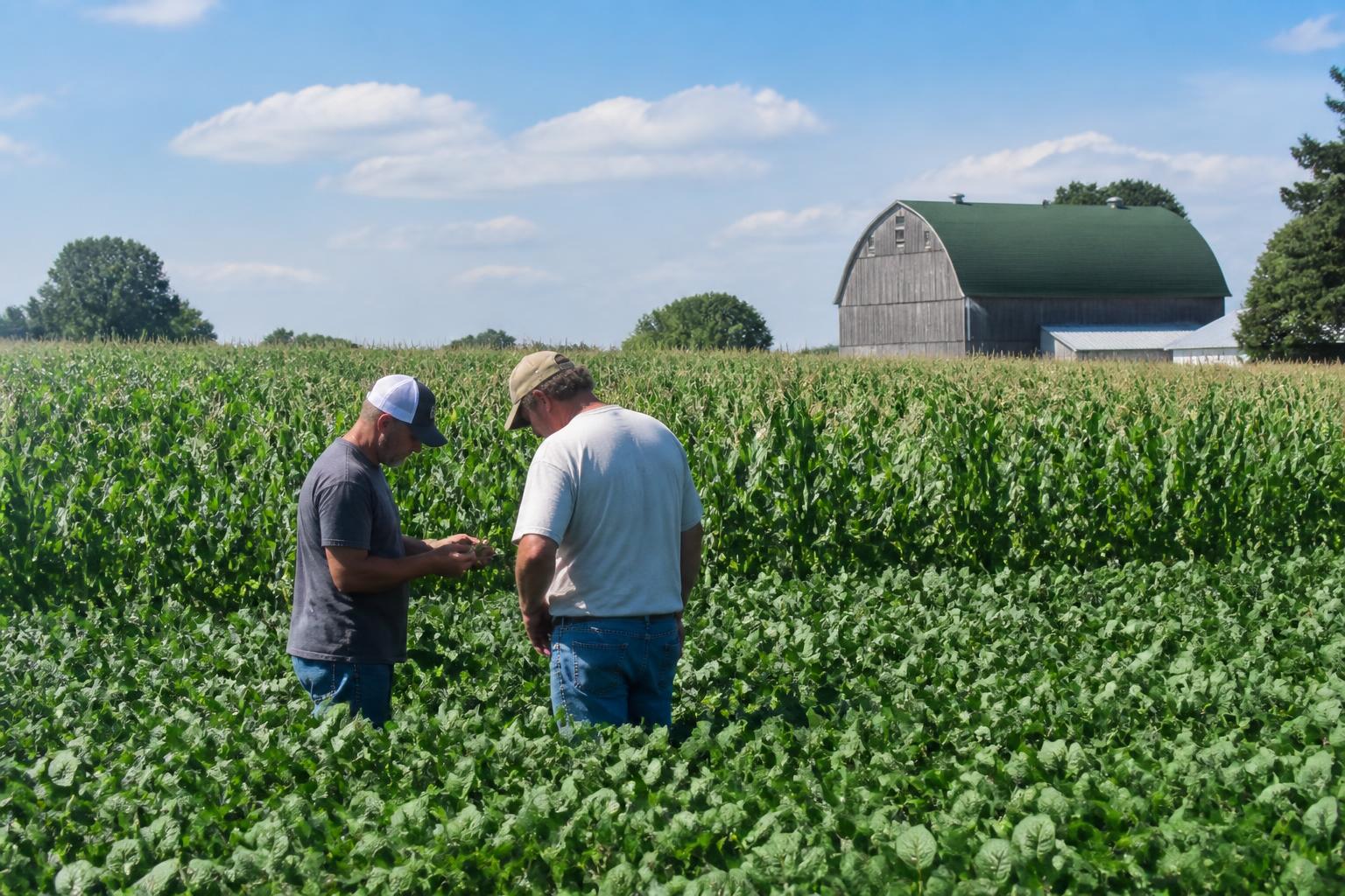 Michigan Input Market Review: Navigating Summer Fertilizer Pressures and Supply Chain Shifts