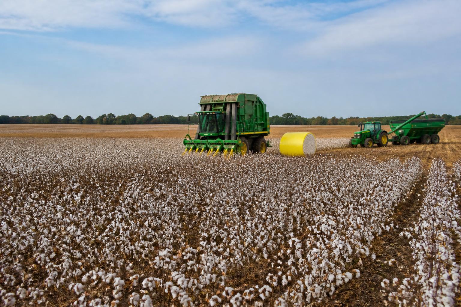 Arkansas Growers Navigate Variable Fall Conditions and Input Efficiency - AgroPost