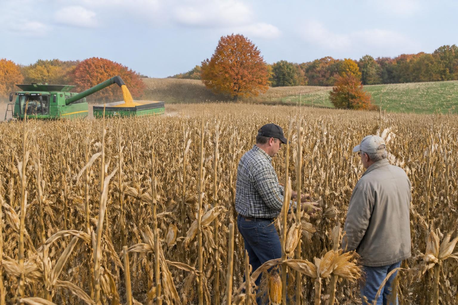 Delaware Fertilizer Market Update: Navigating Global Supply Trends This Fall - AgroPost