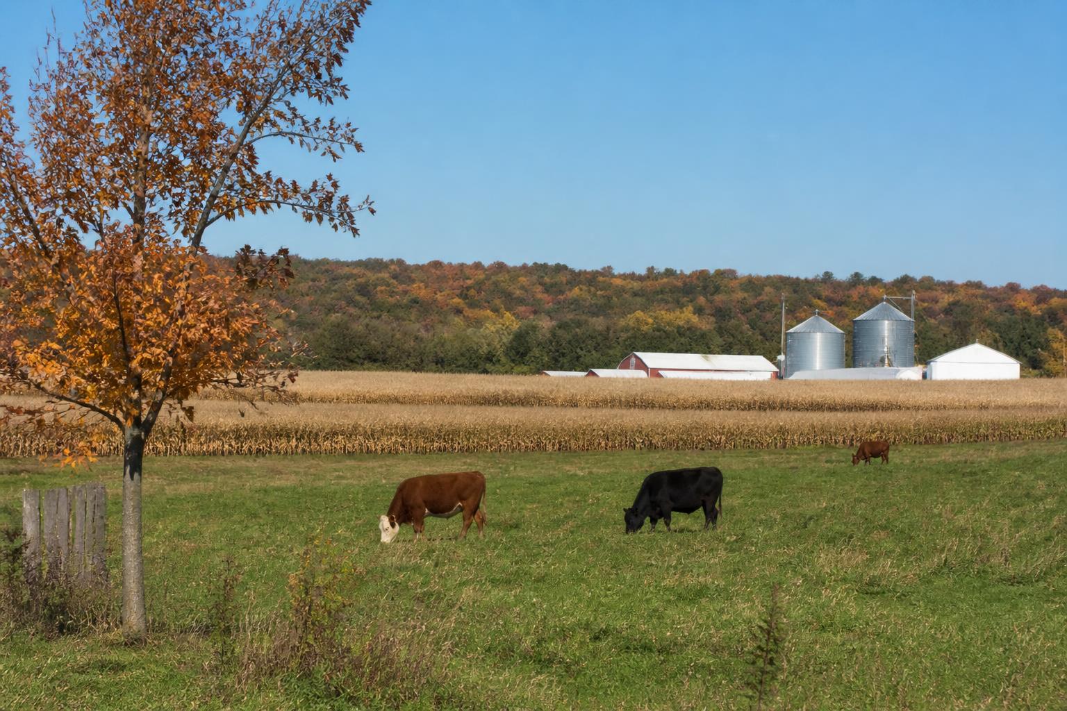 Michigan Fall Fertilizer Outlook: Strategic Nutrient Planning for Post-Harvest Fields - AgroPost