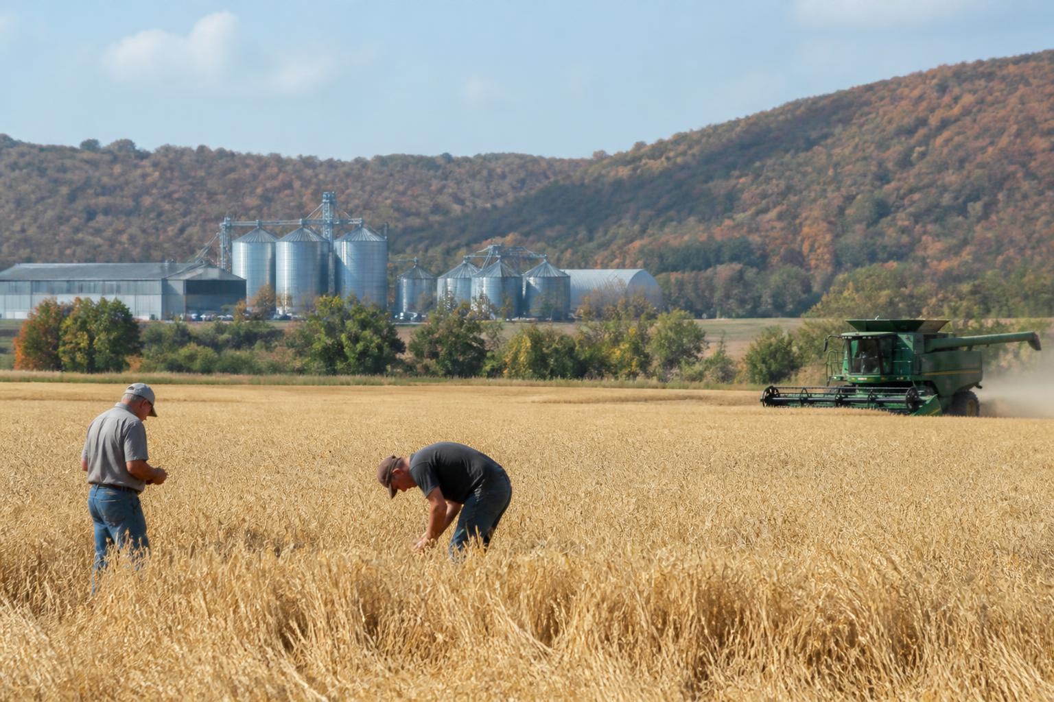 Virginia Supply Chain and Input Logistics: A Fall Update - AgroPost