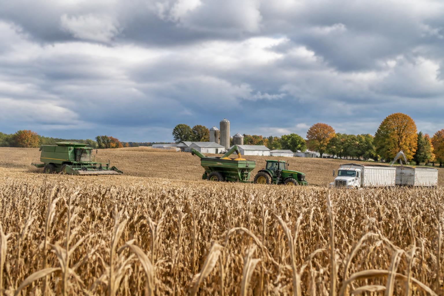 Protegiendo los Rendimientos en Ohio: Gestión Estratégica de Campos a Medida que se Acerca la Cosecha - AgroPost