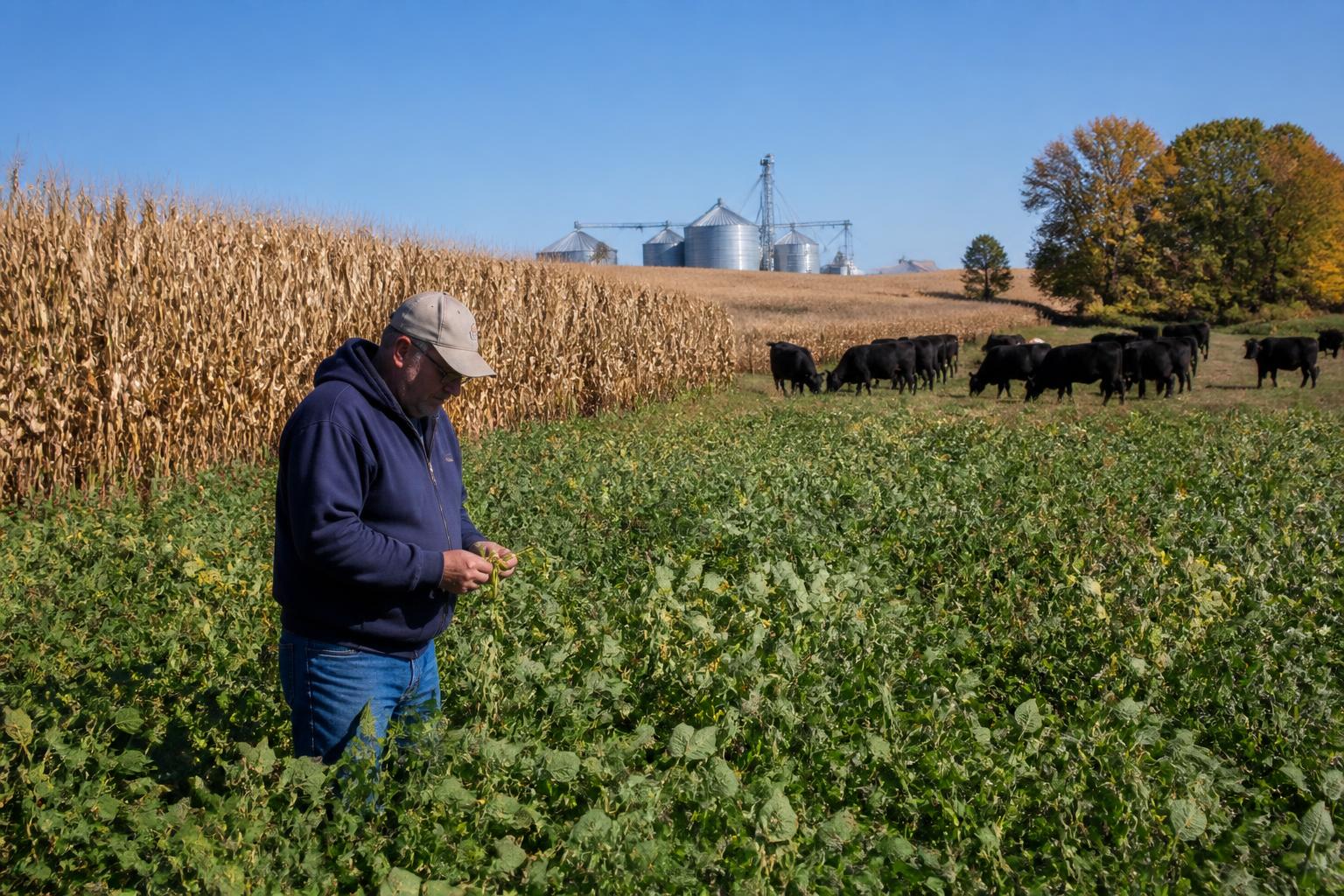 Utah Grain Producers Eye Volatile Market Amid Seasonal Shifts - AgroPost