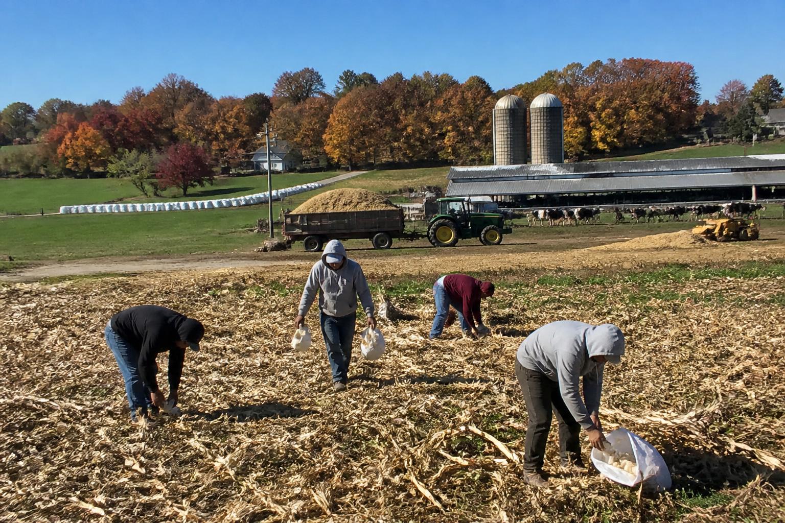 Optimizing Wisconsin Grain Logistics: New Infrastructure and Market Access - AgroPost