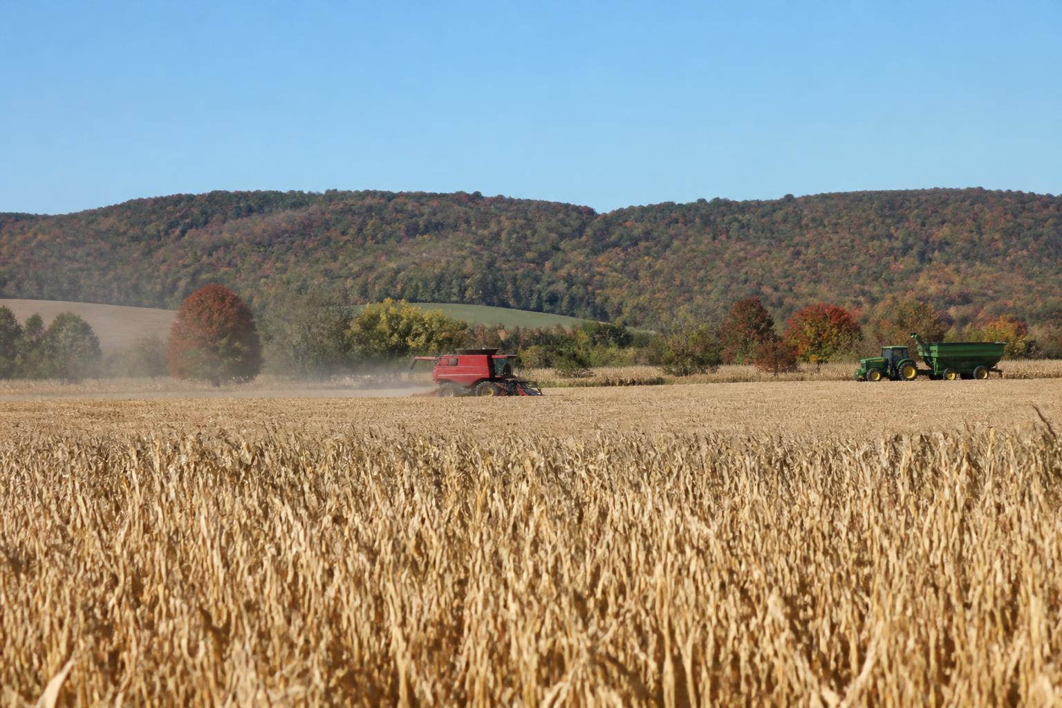 Kentucky Grain Logistics: Managing September Harvest Flow - AgroPost