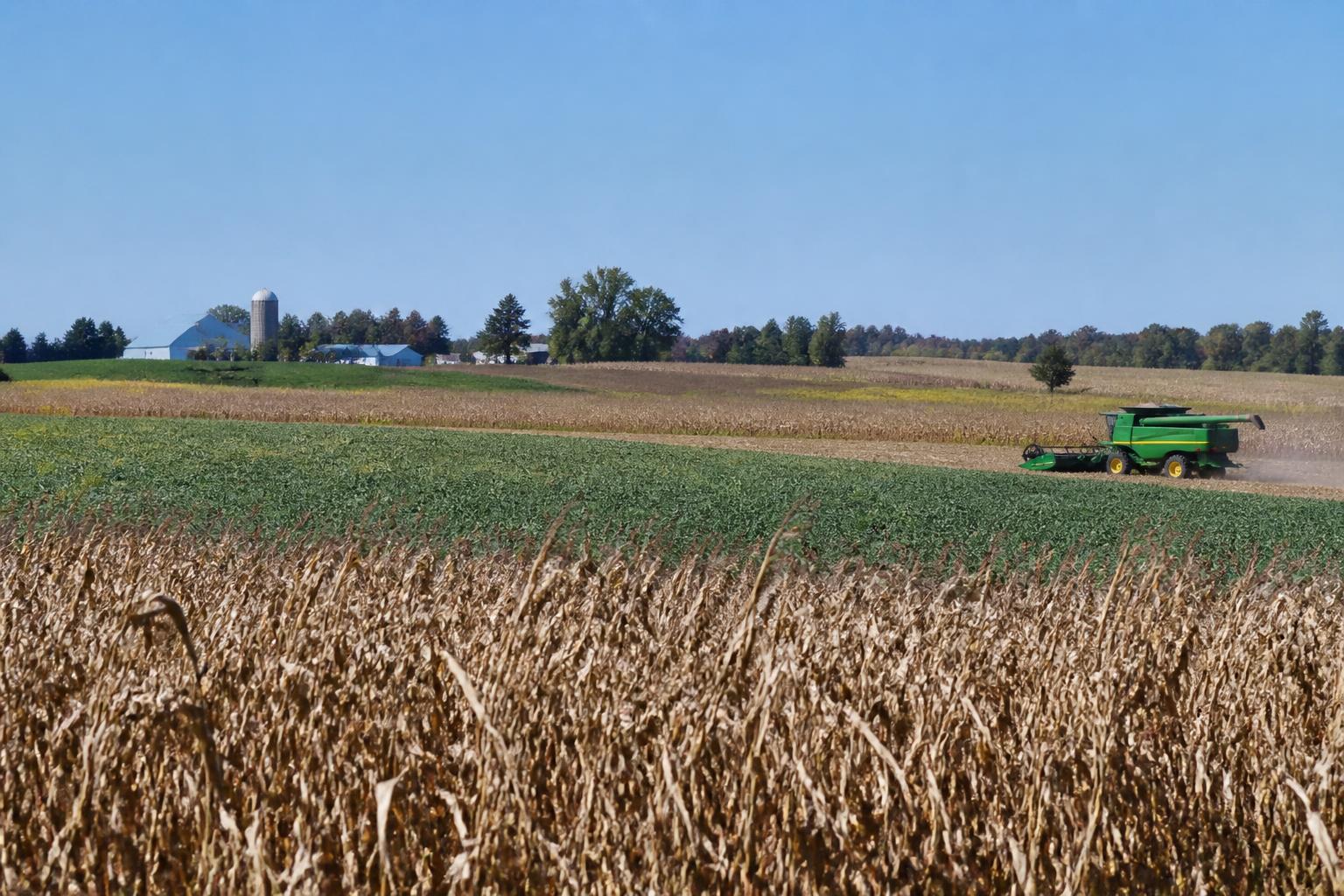 Washington Growers Face Shifting Logistics and Input Cost Pressures This Fall - AgroPost