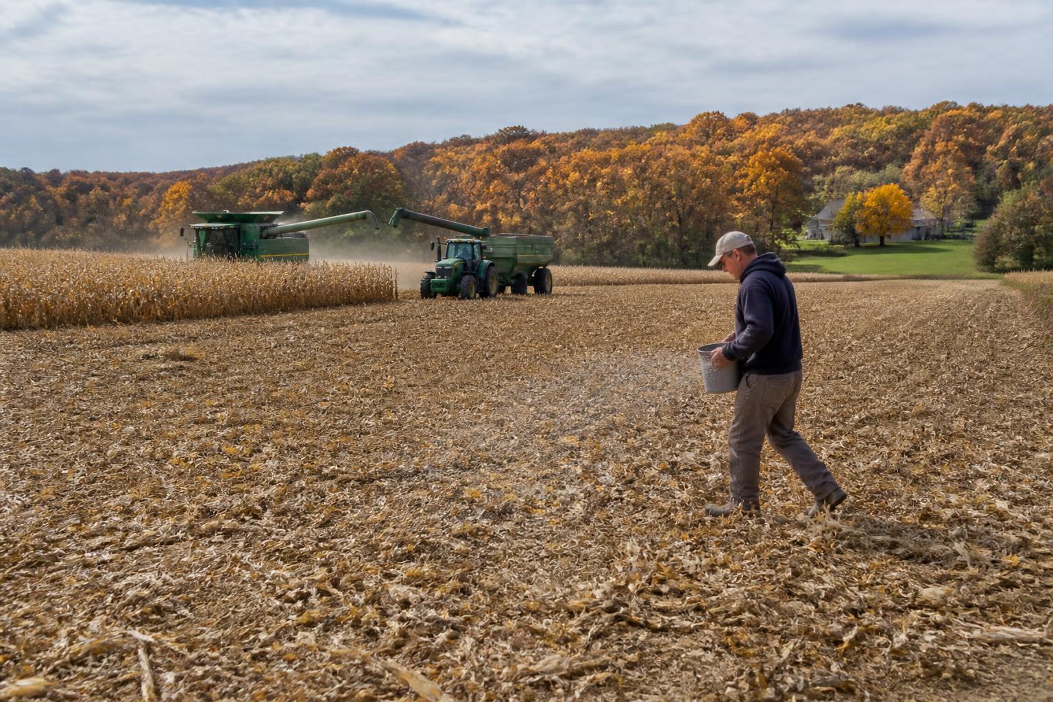 Actualización de logística en Alabama: desafíos de transporte durante la cosecha de otoño - AgroPost