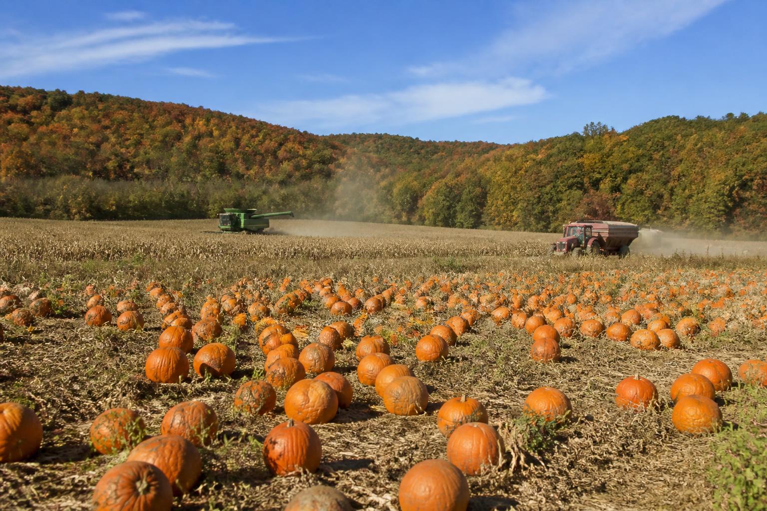 West Virginia Logistics Update: Navigating Fall Transit and Regulatory Shifts - AgroPost