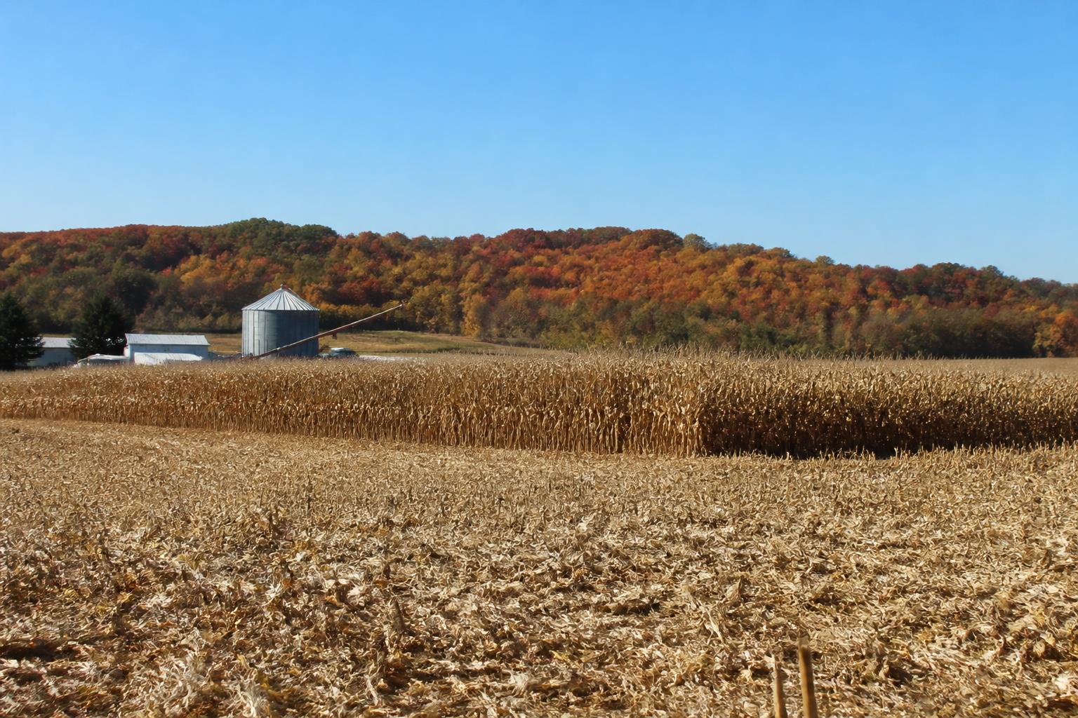 Rhode Island Logistics: Adapting to Autumn's Harvest Pace - AgroPost