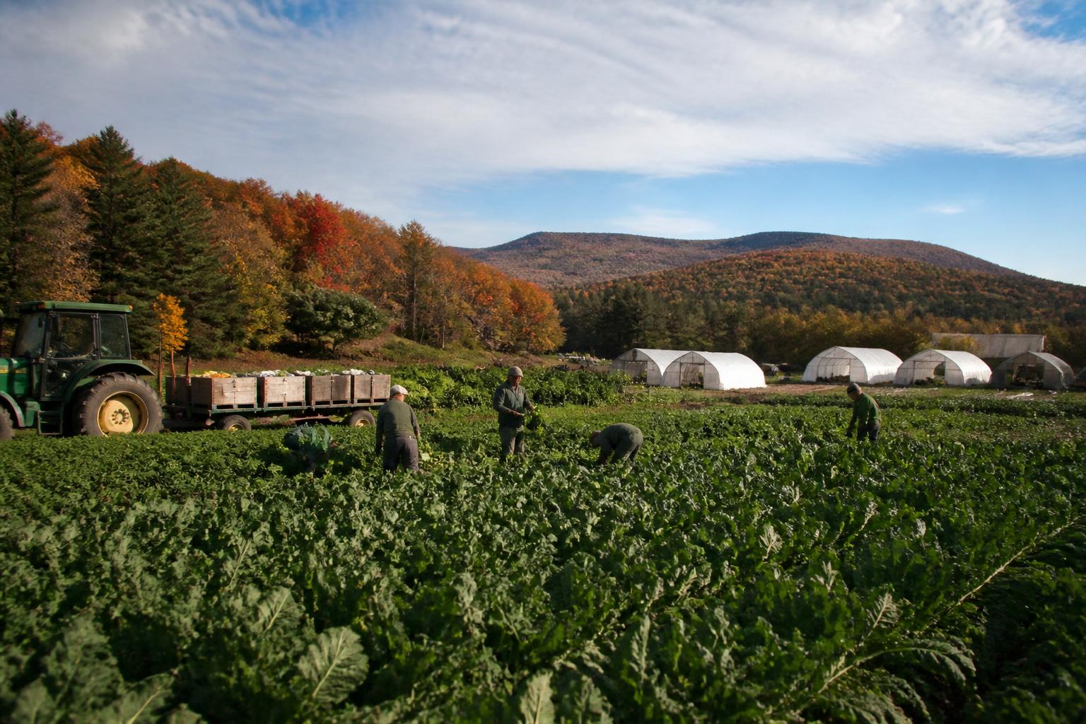 Productores de Vermont Evalúan Gestión de Fósforo - AgroPost