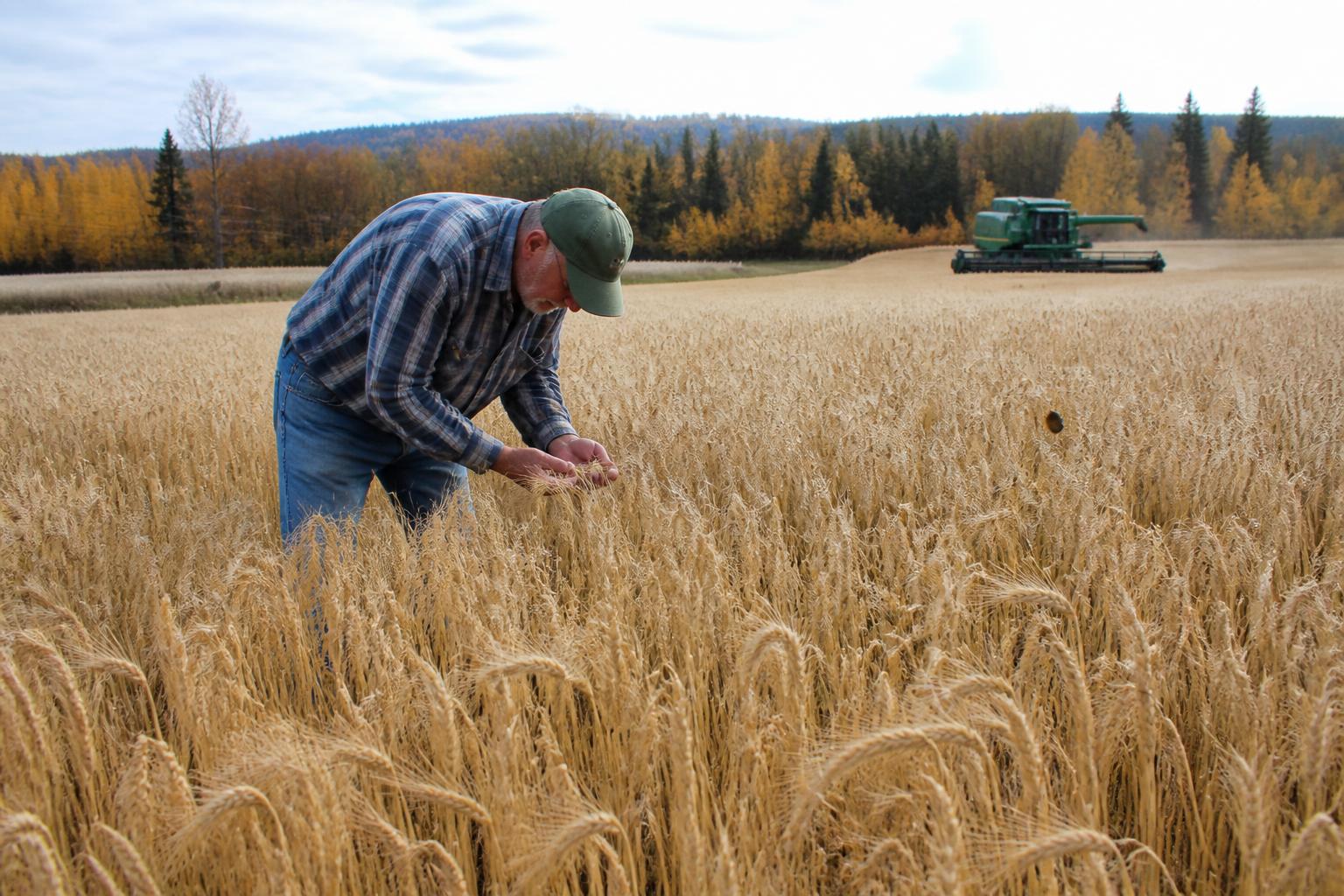 Protecting Oregon Agricultural Land: Strategies for the Harvest Season - AgroPost