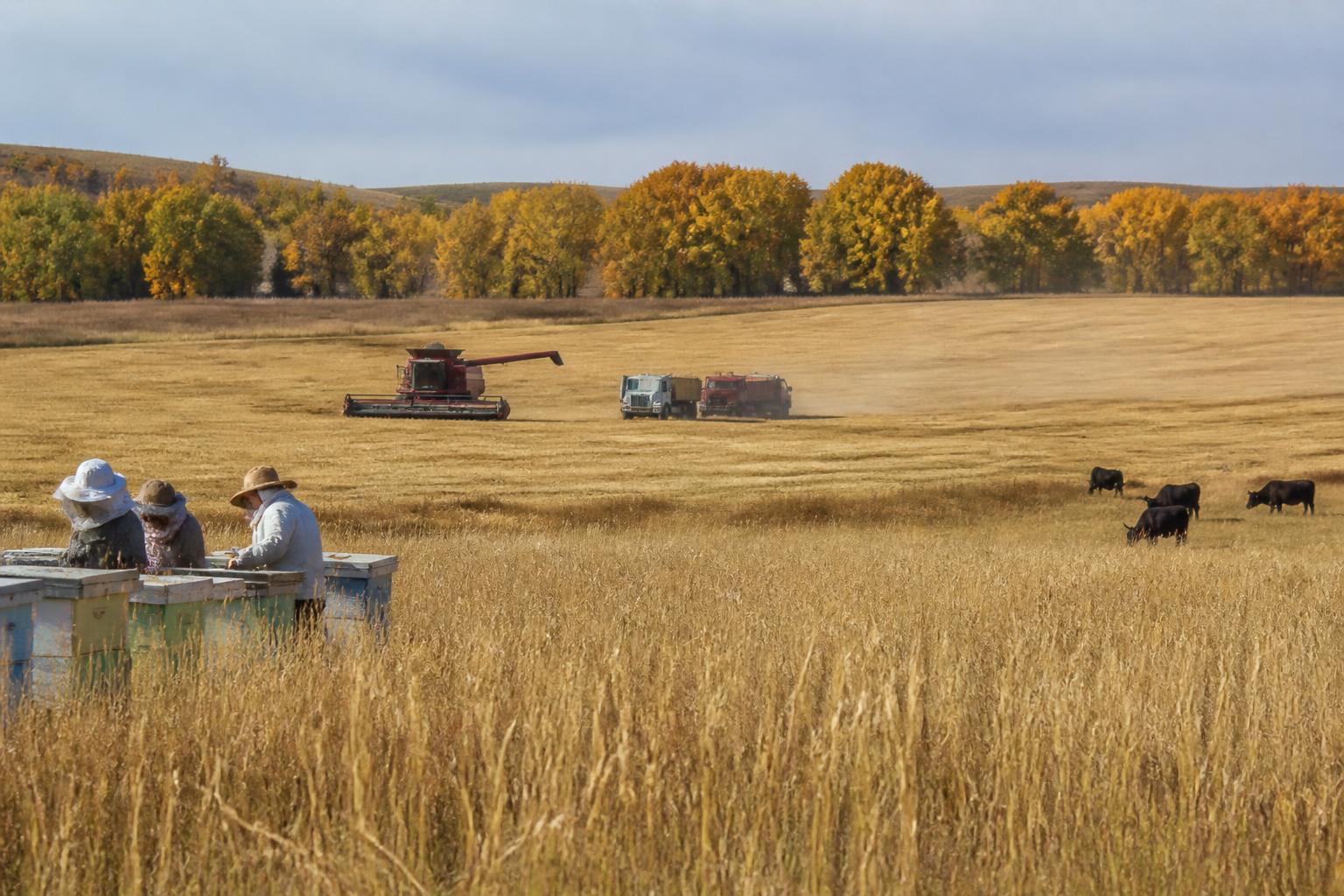 Wyoming Producers Face Emerging Regulatory and Climatic Pressures This Fall - AgroPost