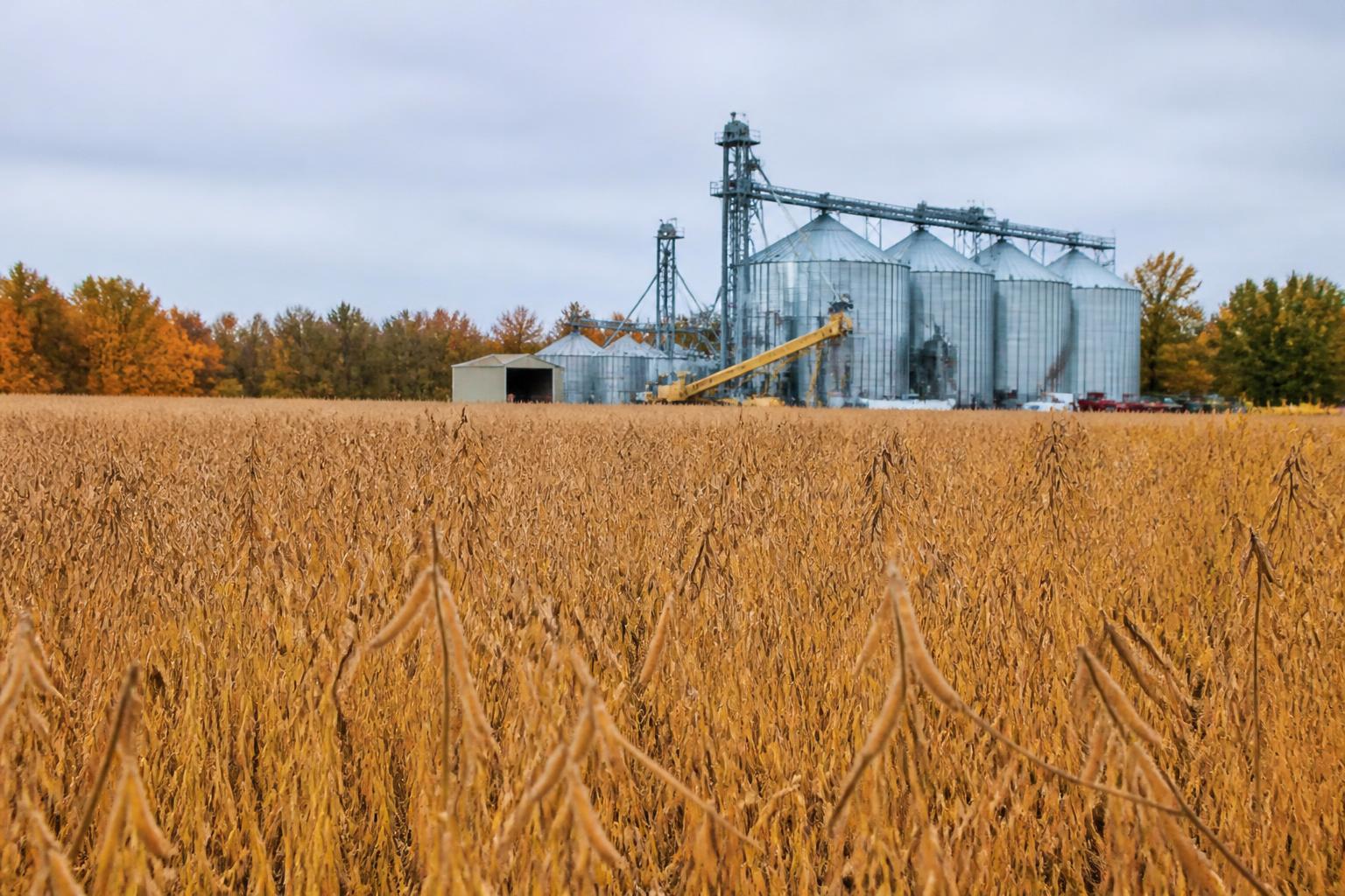 Logística Agrícola de New Hampshire: Perspectivas Estacionales y Actualizaciones de la Cadena de Suministro
