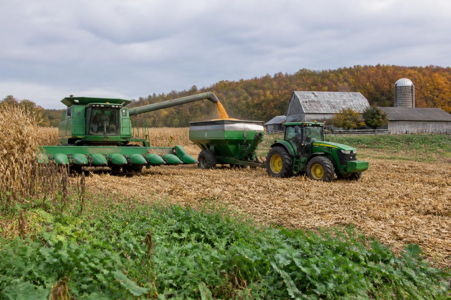 Ohio Harvest Outlook: Navigating Market Carry and Crop Variability - AgroPost