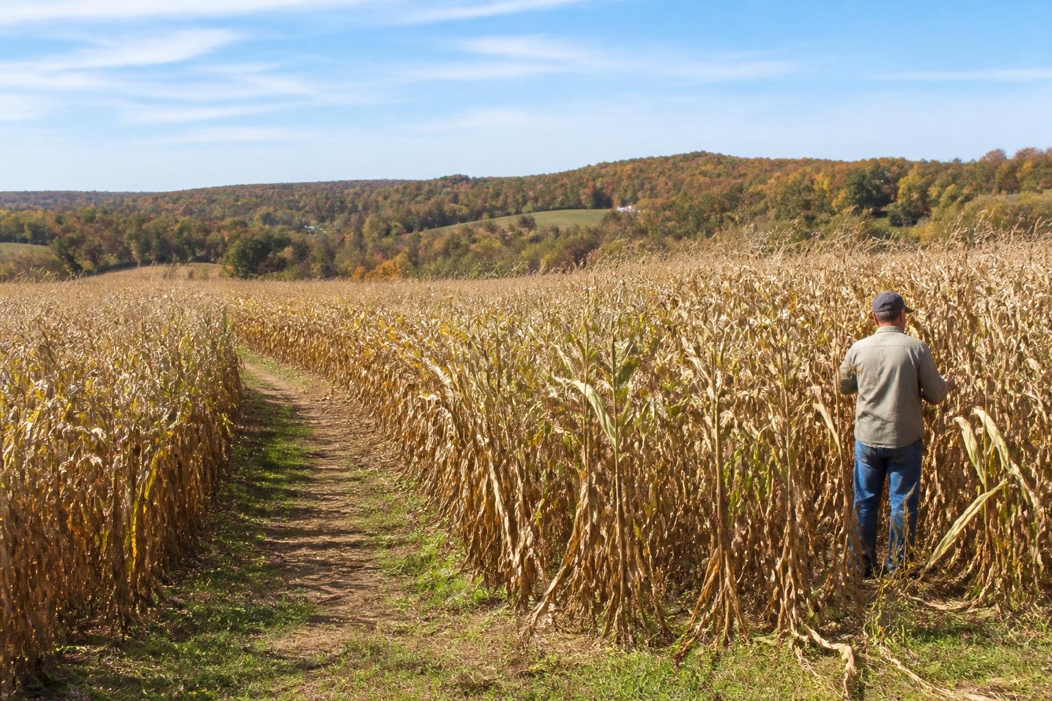 West Virginia Fertilizer Market: Navigating Input Trends and Operational Efficiency - AgroPost