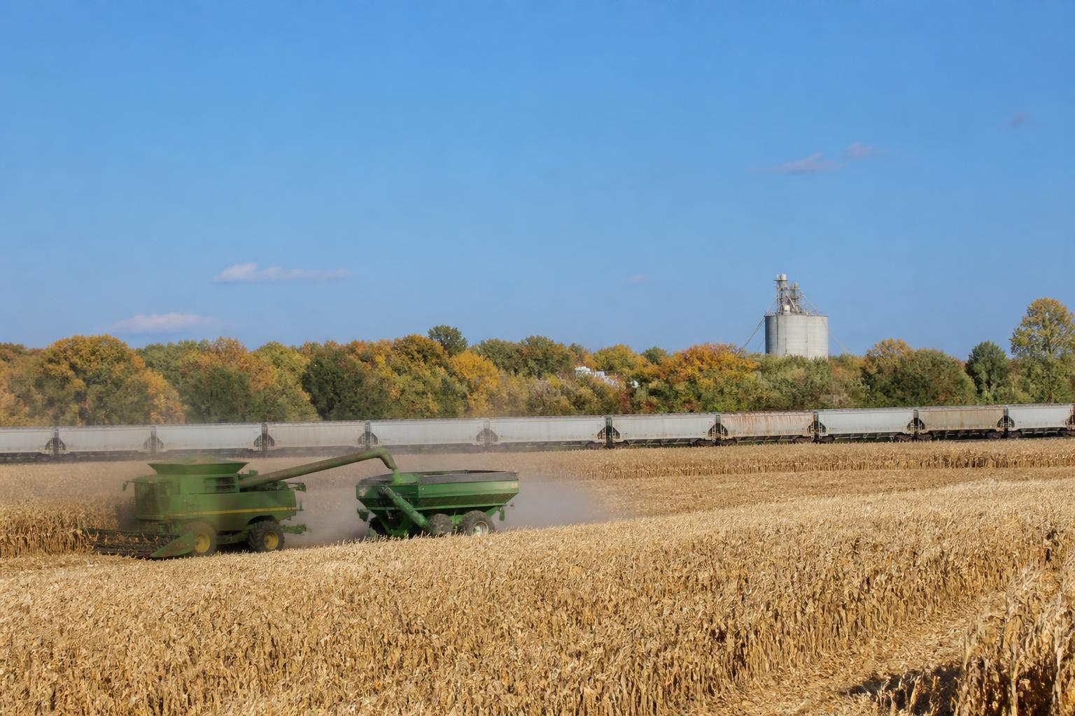 Logística de Granos en Kansas: Navegando la Demanda Ferroviaria y Cambios en la Infraestructura en un Otoño Ocupado - AgroPost