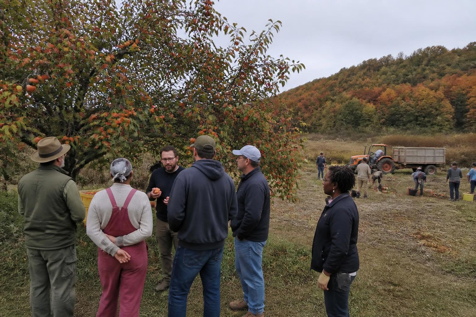 Maryland Grain Sector Navigates Shifting Leadership and Market Pressures