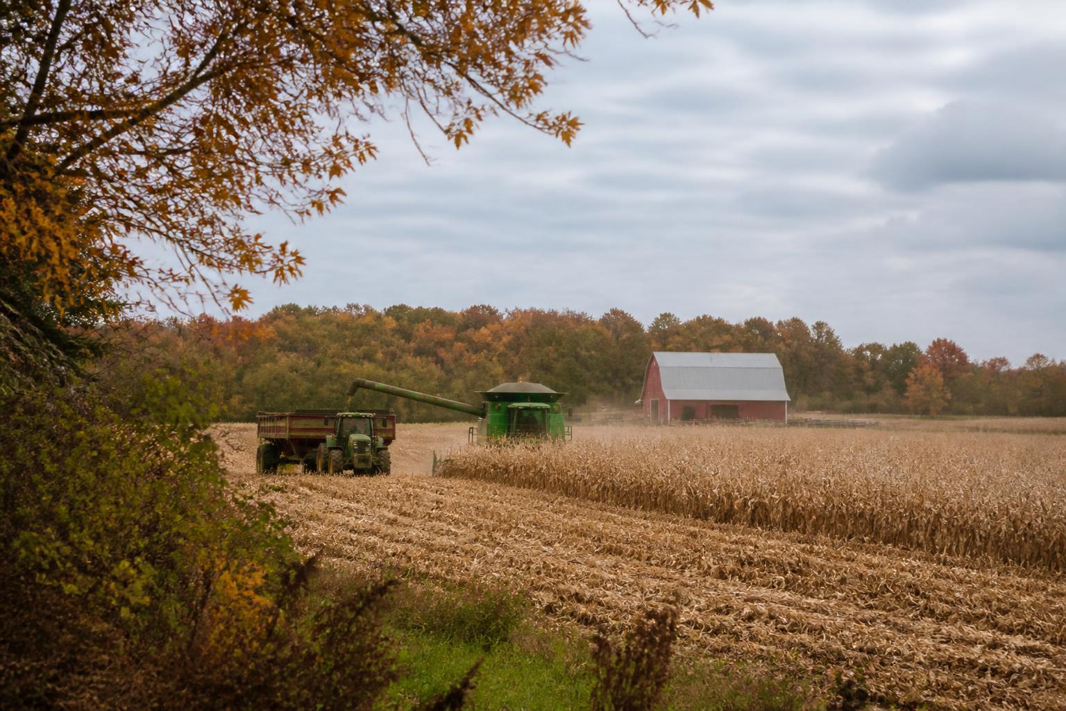 Arkansas Grain Logistics: Monitoring Export Shifts and Market Demand - AgroPost