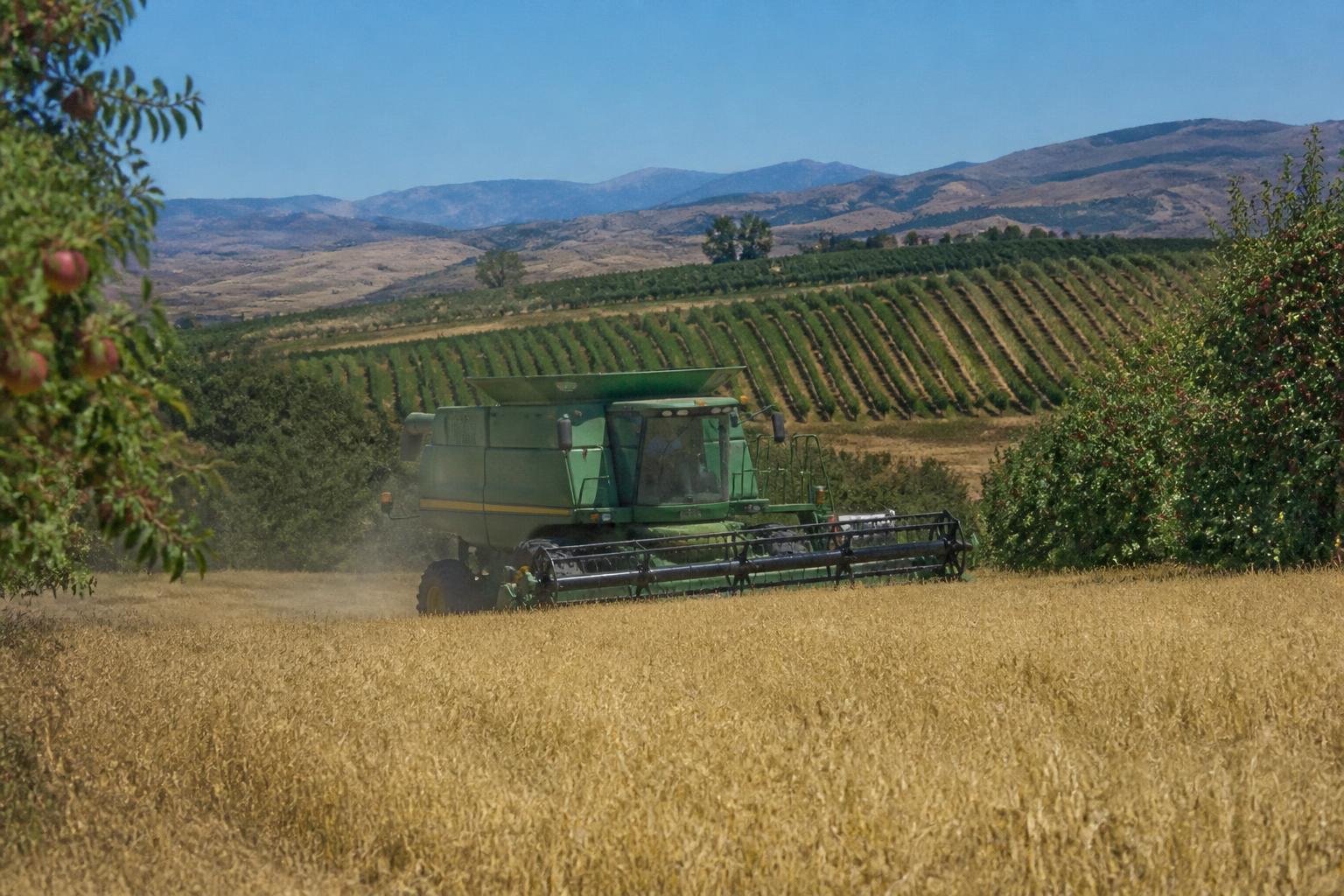 Utah Grain Market Landscape: Assessing Seasonal Shifts and Operational Pressures - AgroPost