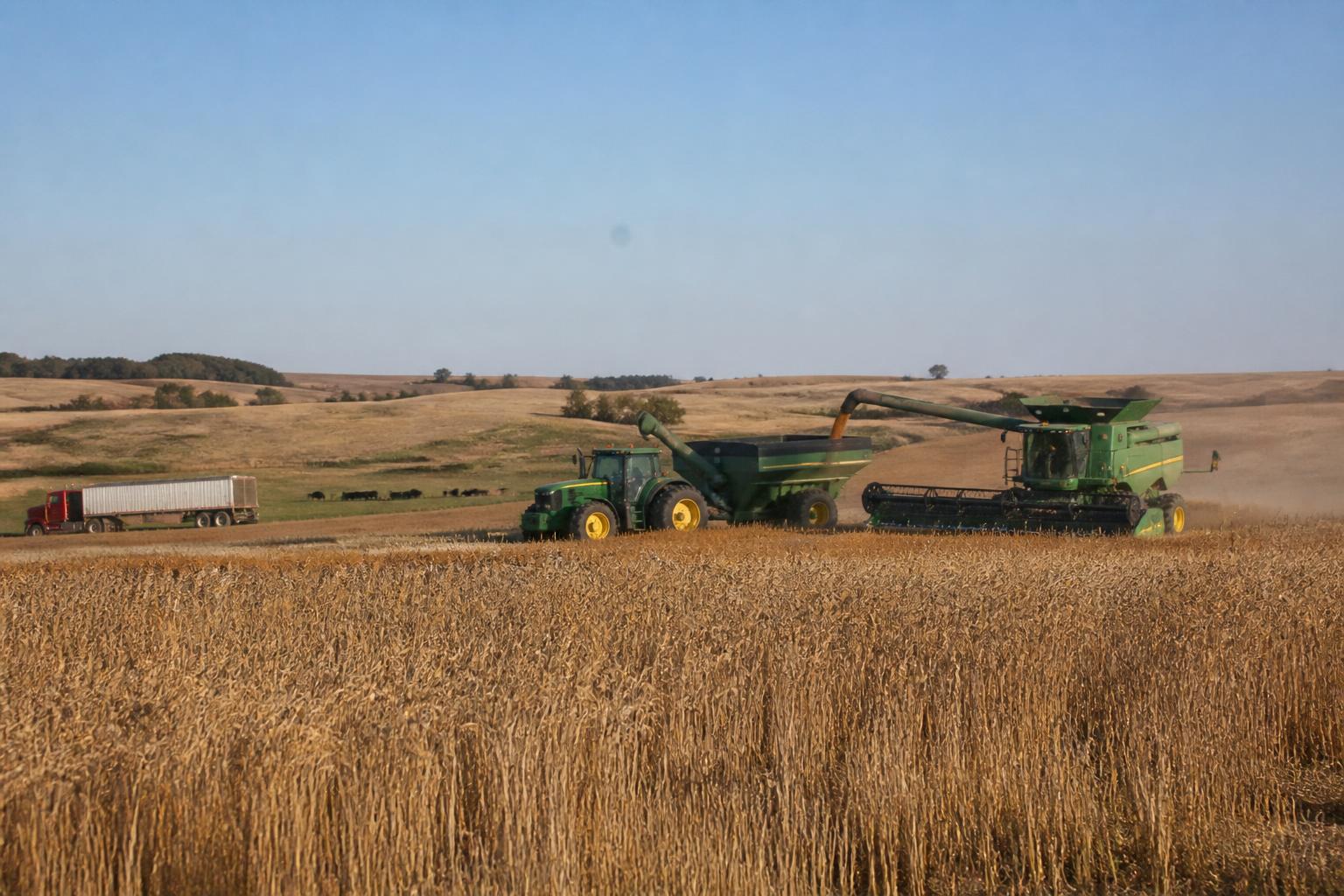 Oklahoma Producers Face Sustained Input Pressure Ahead of Fall Cycle - AgroPost