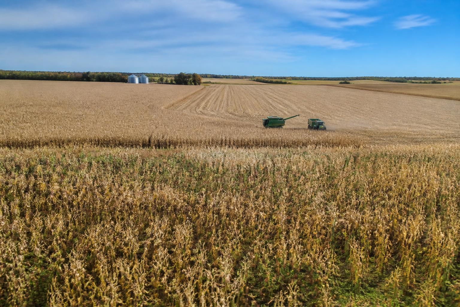 Actualización de cosecha en Iowa: gestión de rendimientos y volatilidad del mercado - AgroPost