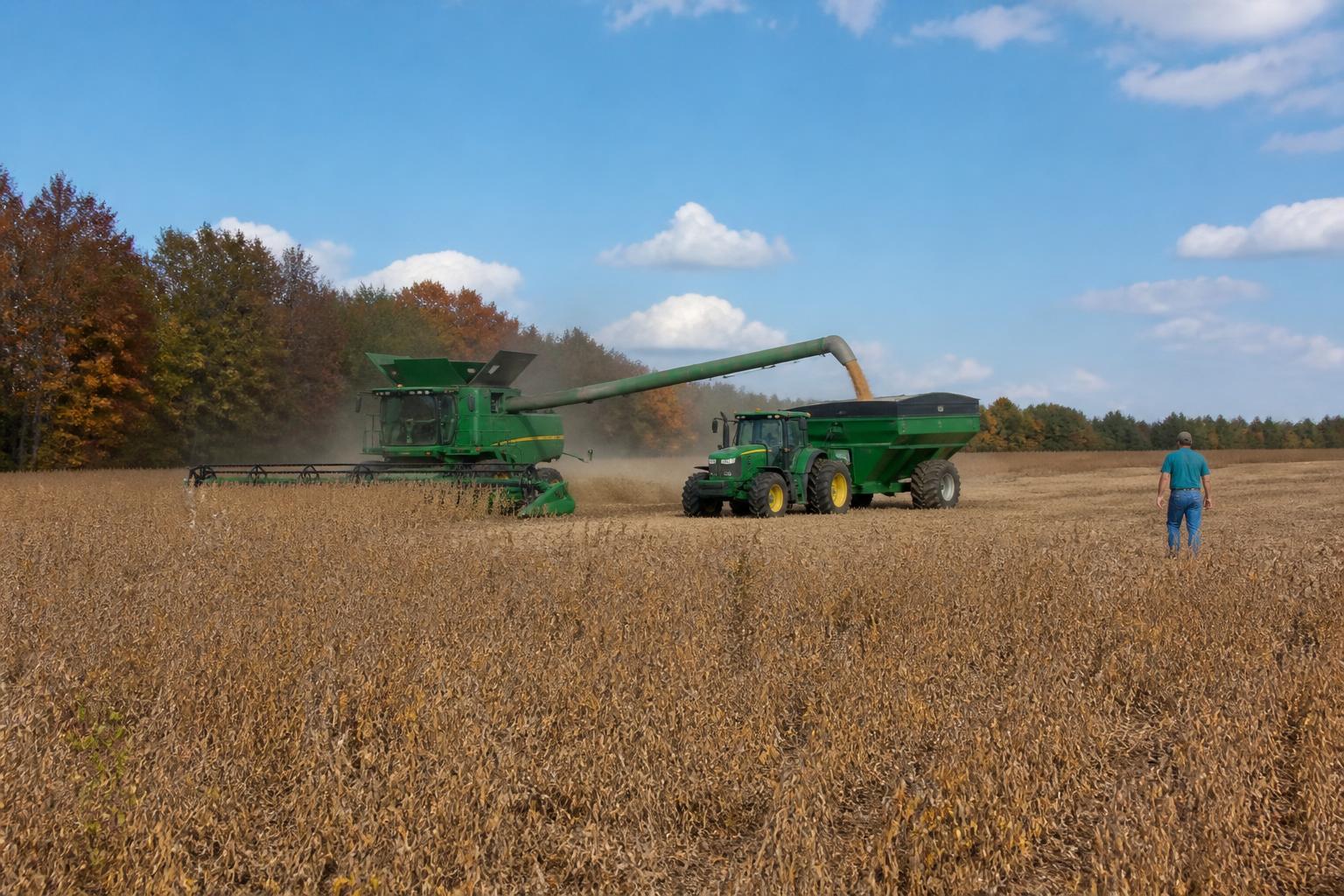 Informe del Mercado de Otoño de Carolina del Sur: Gestión de Costos de Fertilizantes y Logística de Cosecha - AgroPost
