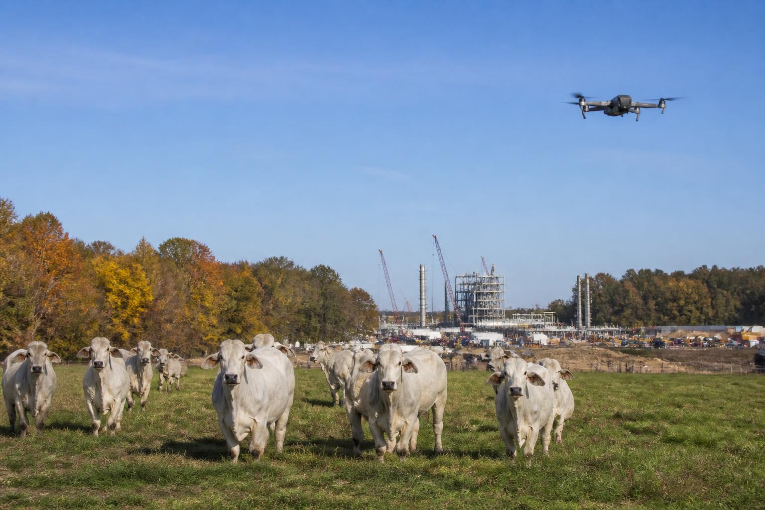 Louisiana Agriculture Logistics and Infrastructure: A Fertilizer Outlook - AgroPost