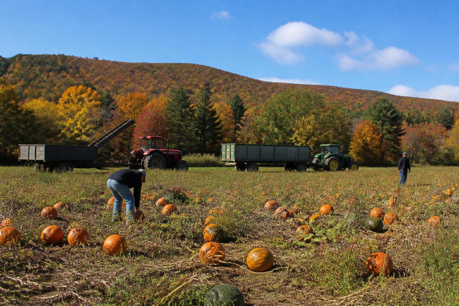 Adapting to Environmental Pressures: Managing Risks in Connecticut Agriculture - AgroPost