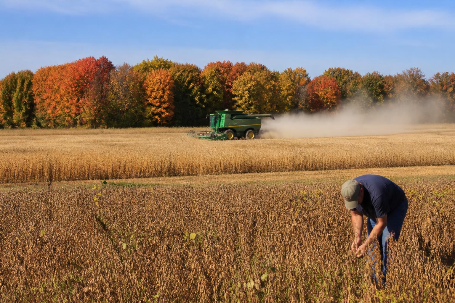 Optimizing Fall Fertilizer Strategies for Michigan Producers