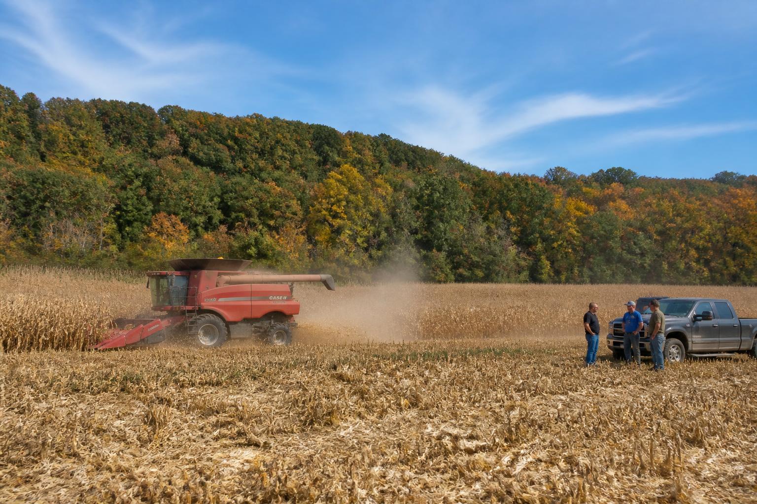 Ohio Fertilizer Market: Navigating Procurement and Price Transparency