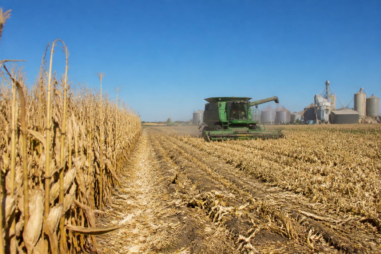 Managing Input Costs and Operational Risks for Oklahoma Producers - AgroPost