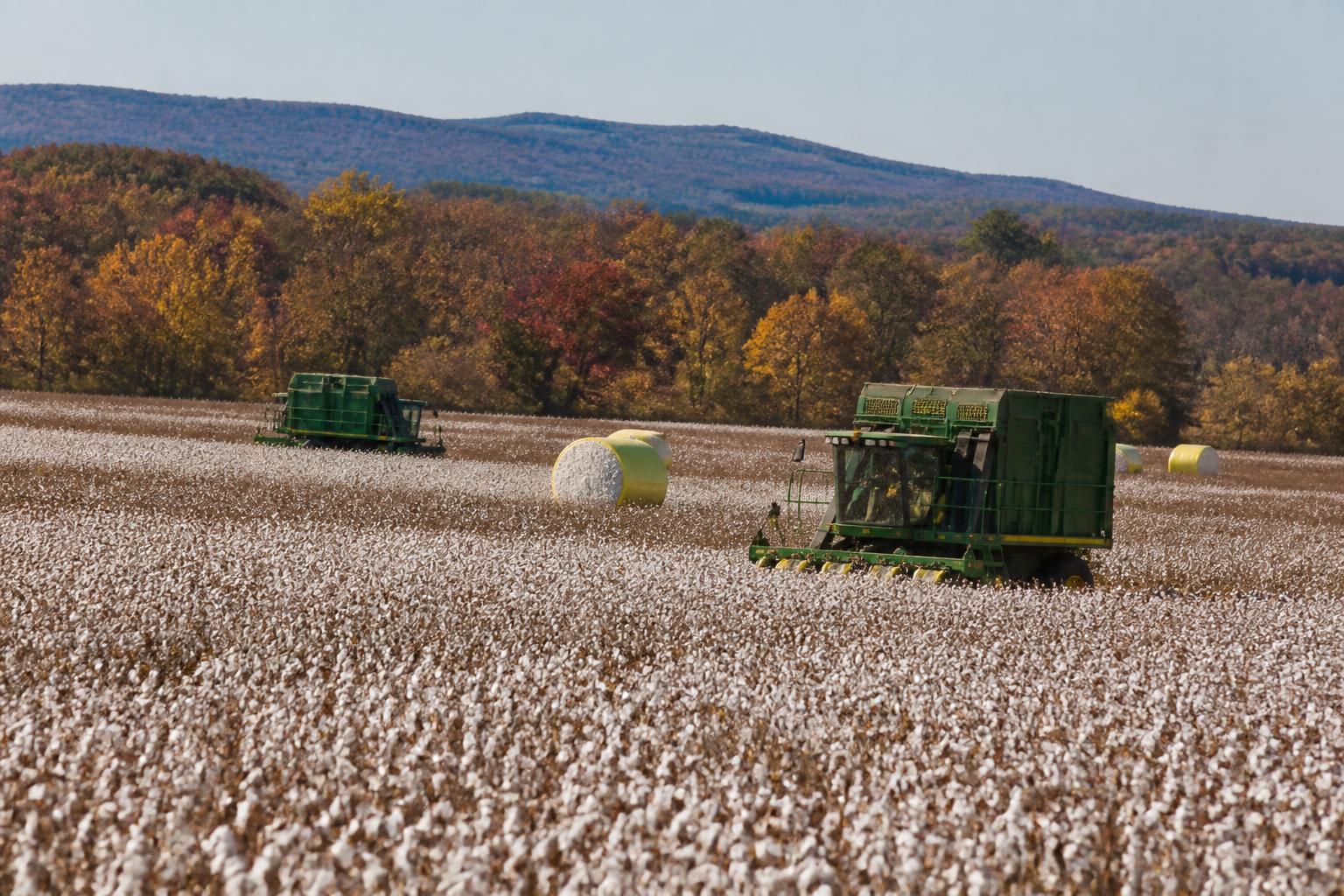 Oklahoma Market Update: Navigating Global Volatility and Local Input Pressures - AgroPost