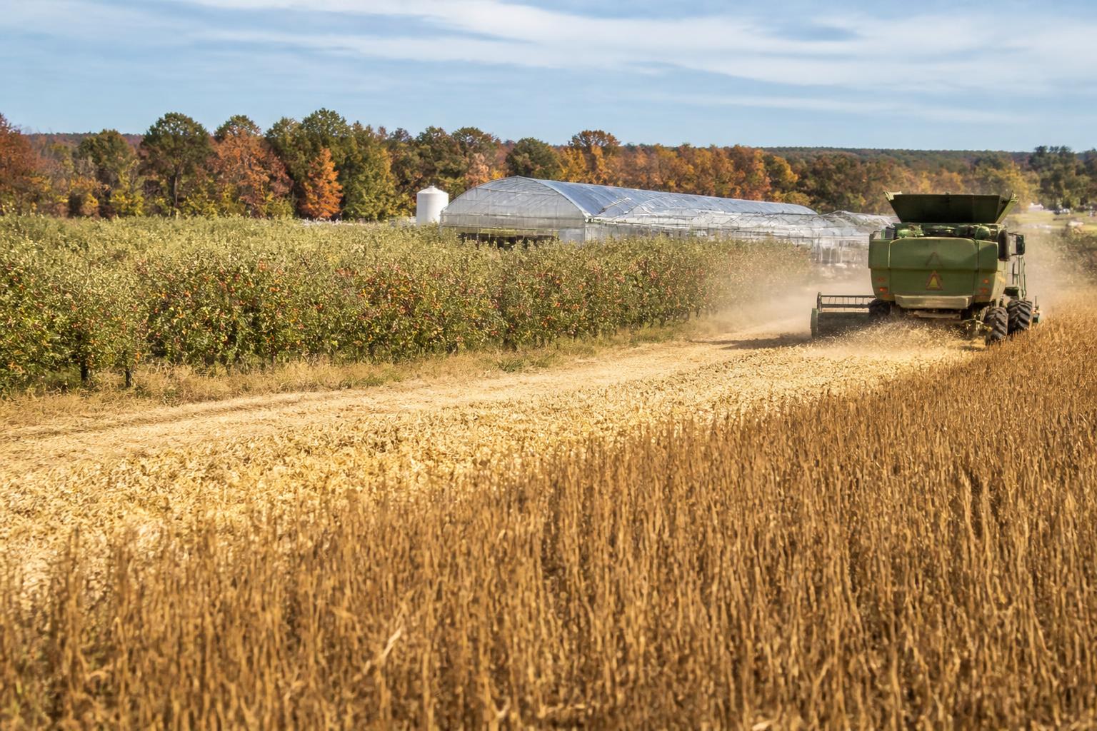 Virginia Grain Sector Faces Pressure Amid Trade and Input Challenges - AgroPost