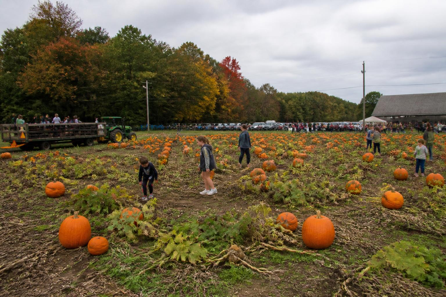 Rhode Island Grain Outlook: Navigating Fall Markets and Operational Costs