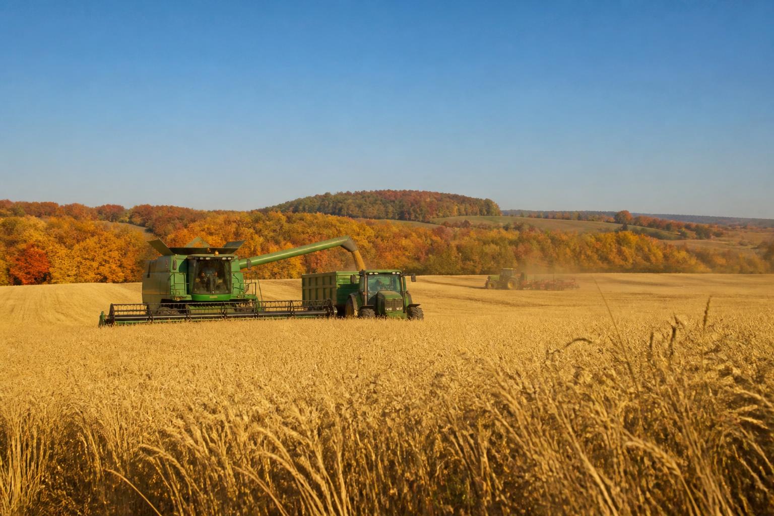 Wyoming Producers Navigate Seasonal Market Shifts as Fall Harvest Begins