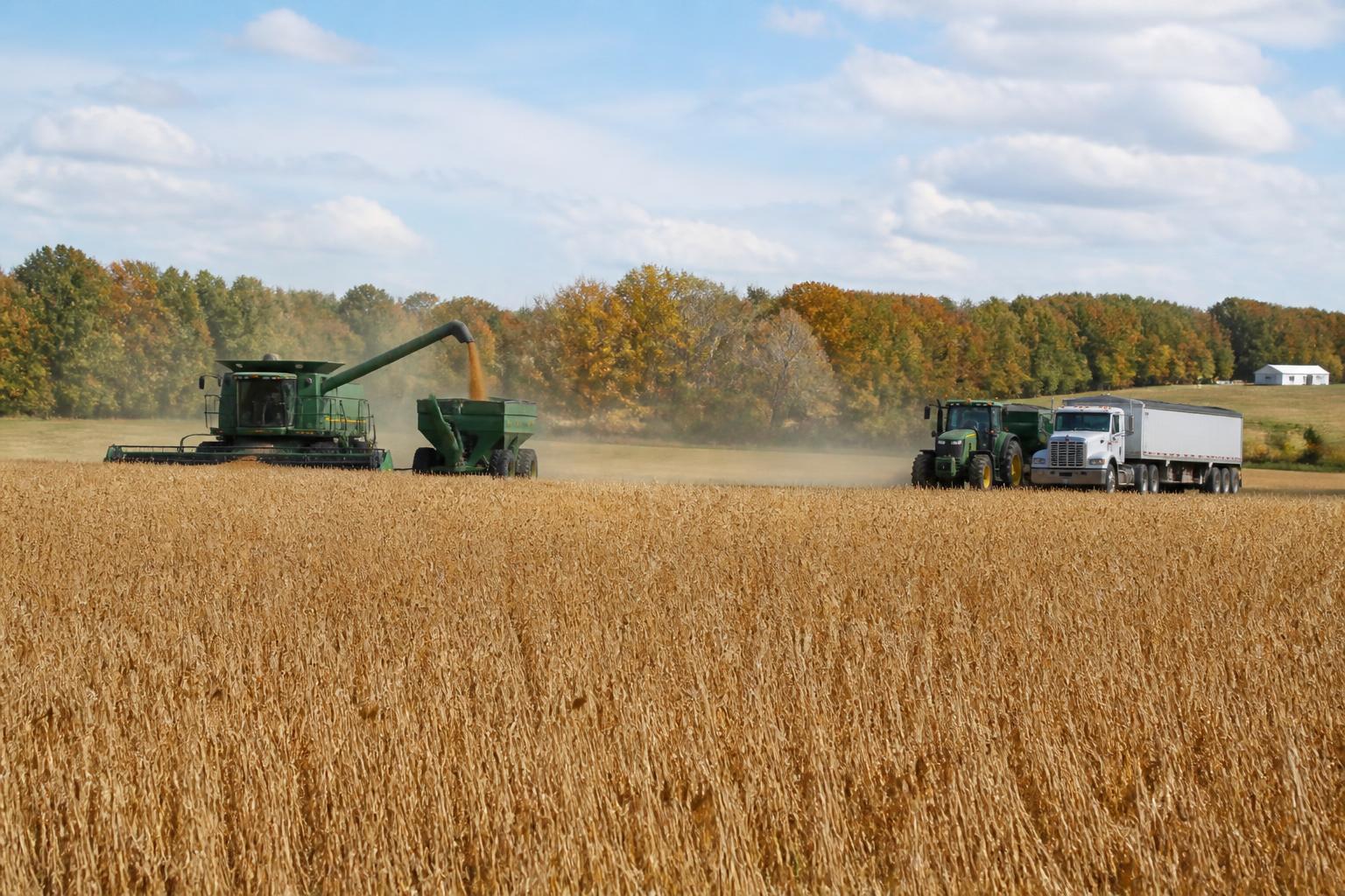 Nevada Grain Innovation and Global Export Pressures