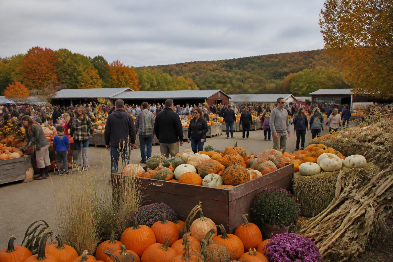 Fall Grain Market Outlook: Assessing Supply Stability and Storage for Massachusetts Producers
