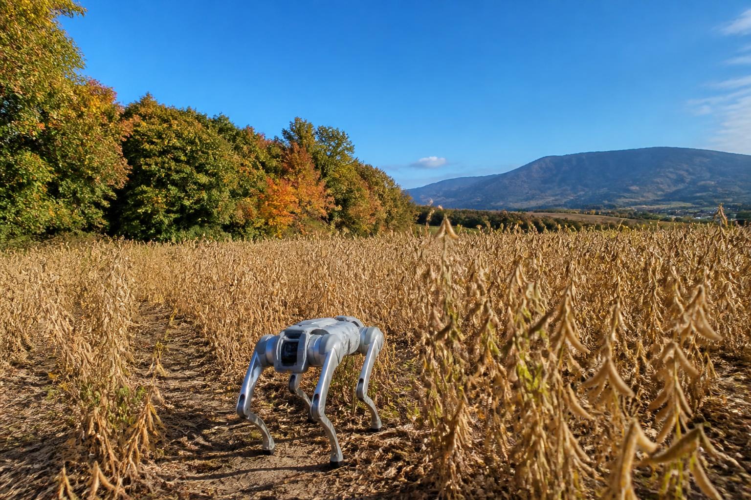 Navigating Hawaii's Evolving Agricultural Landscape and Crop Security