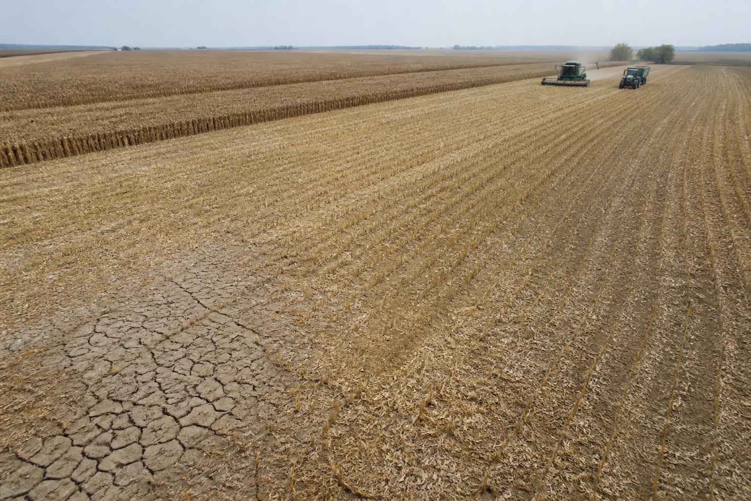 Managing Crop Resiliency During Nevada’s Late-Season Heat