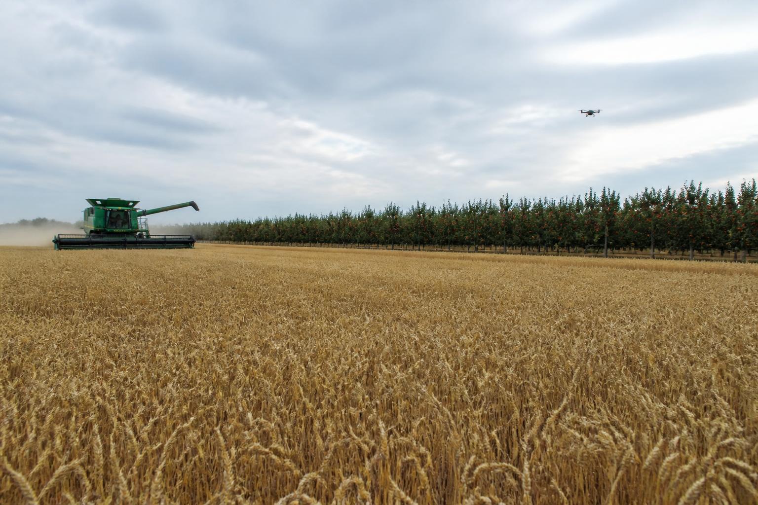 Managing Input Costs and Efficiency in a Tight Kansas Fall