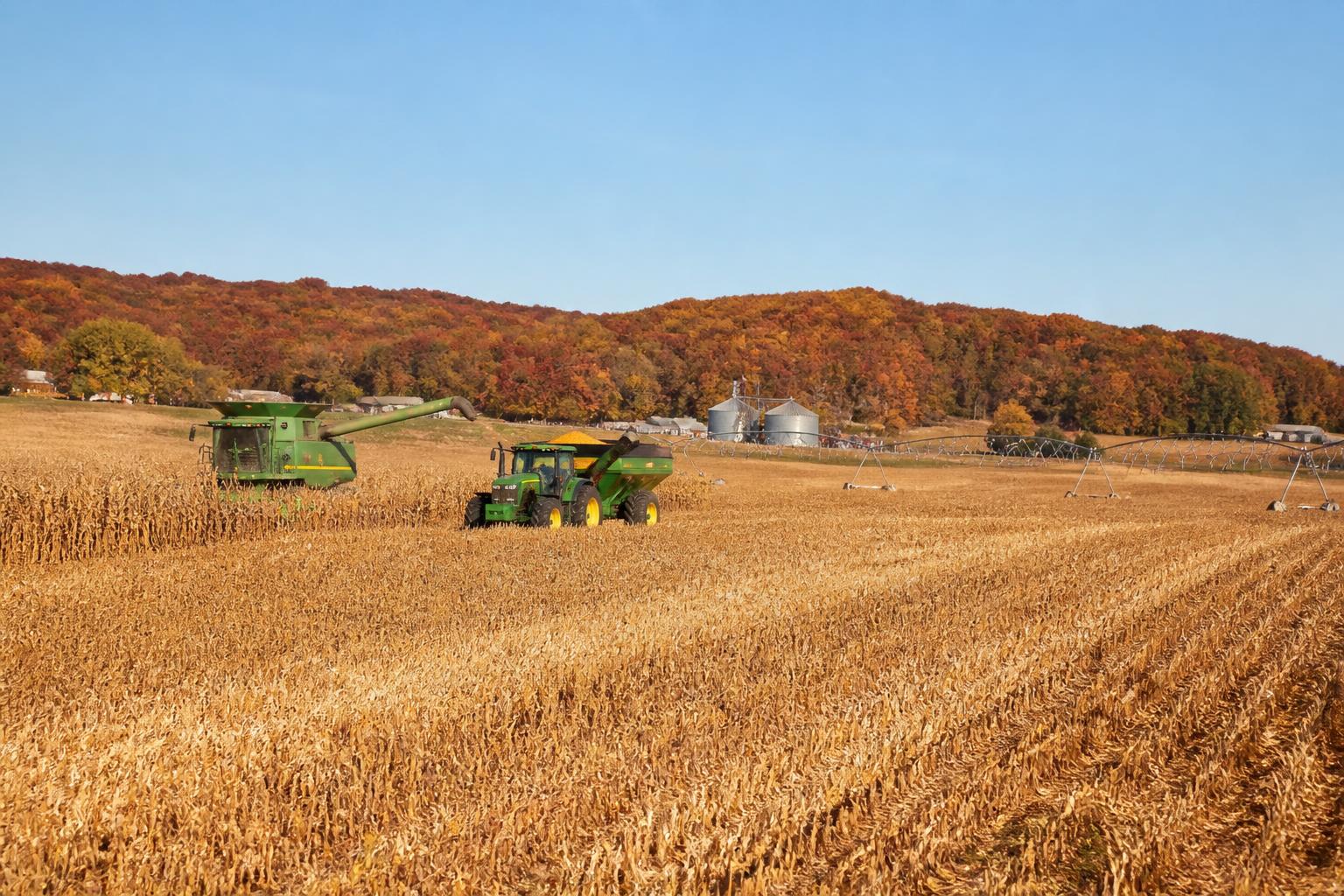 Arizona Input Market Brief: Scaling Fertilizer Capacity and Managing Operational Headwinds