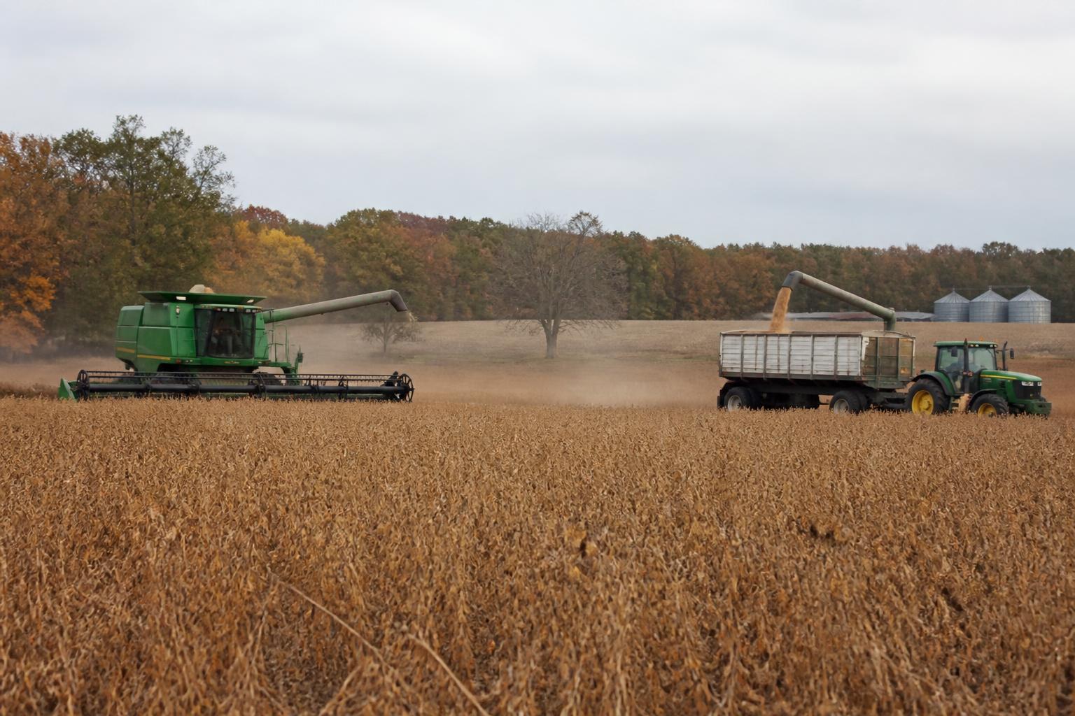 South Carolina Grain Logistics: Leveraging On-Farm Storage for Fall Efficiency