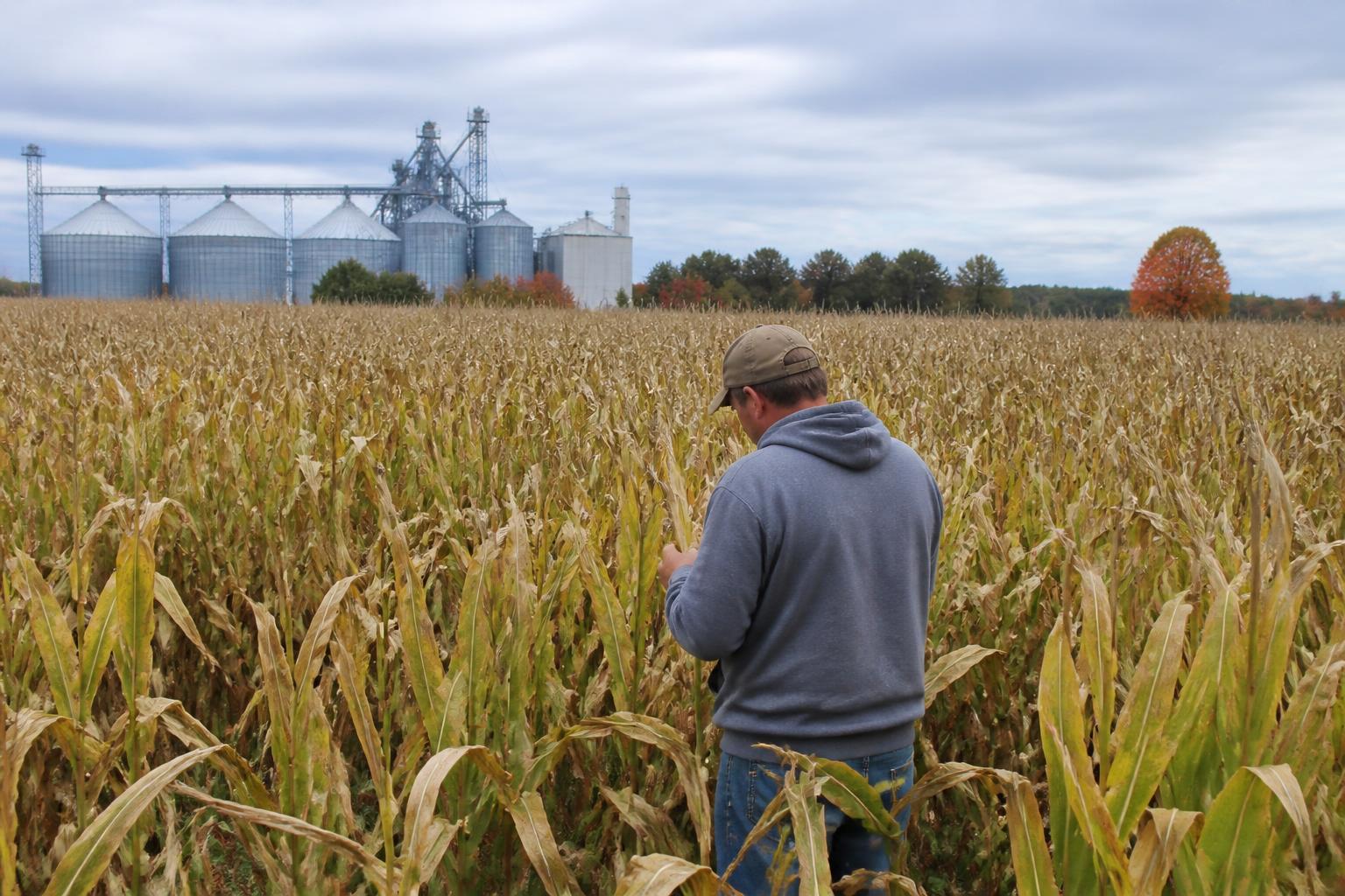 Indiana Fertilizer Logistics See Boost with New Ohio River Terminal